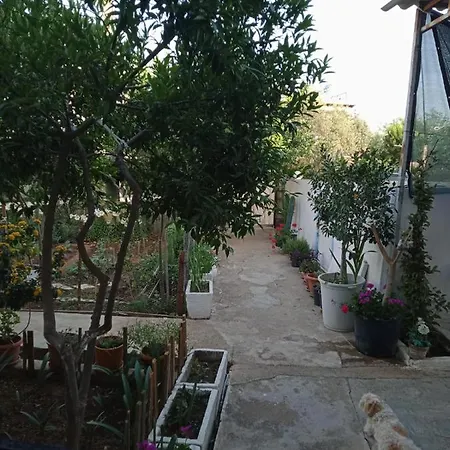 Location In Center فندق 3*